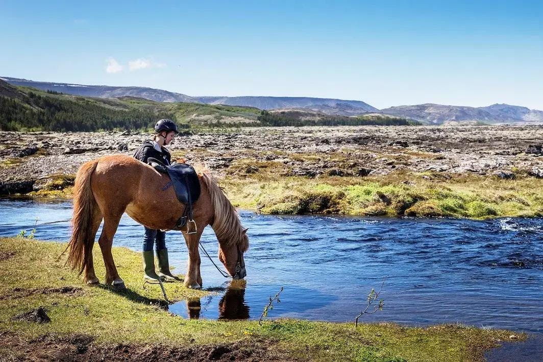 horse riding in iceland